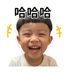 小炘表情包