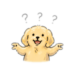Dog's daily life Dog