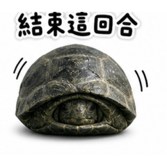 亞達的生活日常