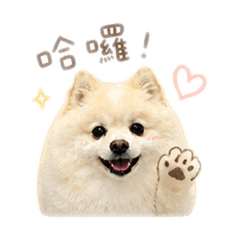 噗啾日常用語