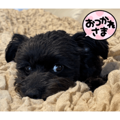 Kuma_20260505191355
