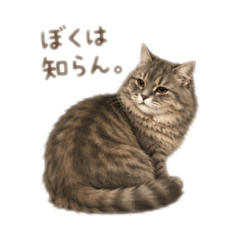 nagineko_202605151853