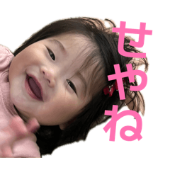 yu_20260515190236