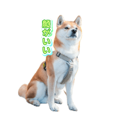 kkchan_20260515185416