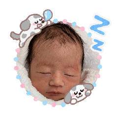 nanareo_20260515190752