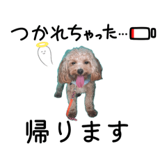 Taka.Kane_20260515191010