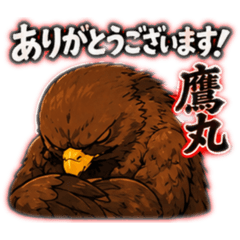 Erina_20260515190929