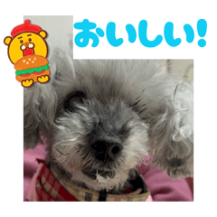 Kyoko_20260515191811