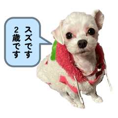 oda_20260515191739