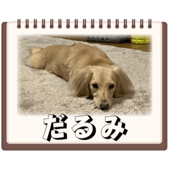 k_20260515191811