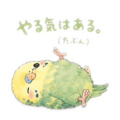 KMT_20260515191657