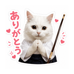 tamago mama_20260515192130
