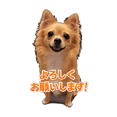 Shinshualtor_20260515192145