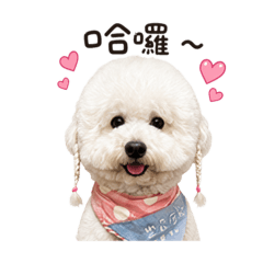 貝拉專屬