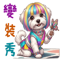 小小瑪爾濟斯變裝秀