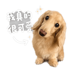這是巴疼阿