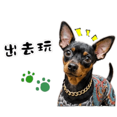 賓利是隻迷妳杜賓2