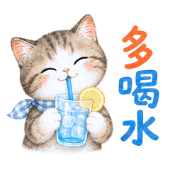Summer Cute Cat: Daily Greetings