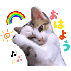 Oharou_20260515194933
