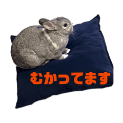 babujiro_20260515195028