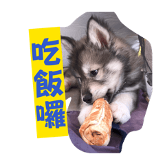 Husky Stickers F2