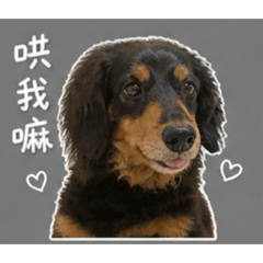 可謂