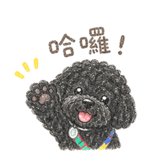 黑寶(Oreo)
