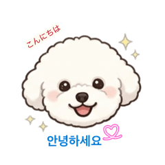 mimi-20260505142923
