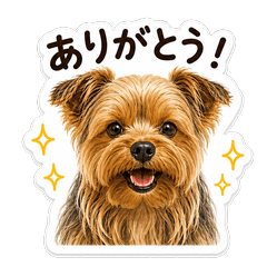 Urs & Dog Friends: Ravi