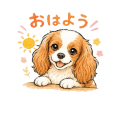 cavalier_dog