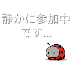 Nikora_20260515182045