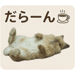 うさぎのライ君❗️パート9