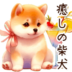 A Shiba Inu that brings comfort