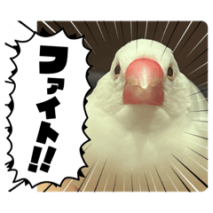 chisu_20260515201902