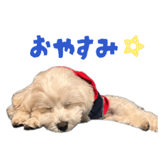 Sato_20260515201750