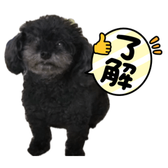 Shiori_20260515201817