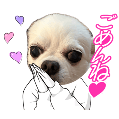 momokei_20260515203358