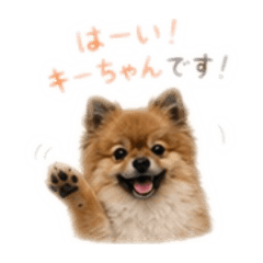 KUMA_20260515203534