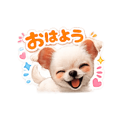 Sora_20260515204508