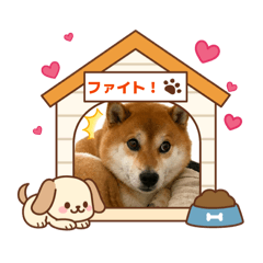 riho_2026050523140
