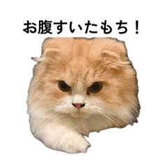 hirokky_20260515205056