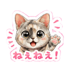 Mimi_20260515210805