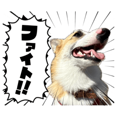 miku_20260515213056