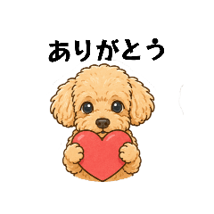 Cute Toy Poodle [CTP]