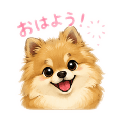 lalilulu_20260515213056