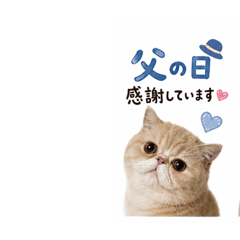 mugitan_20260515214246