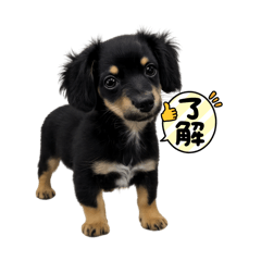 momo_20260515213232
