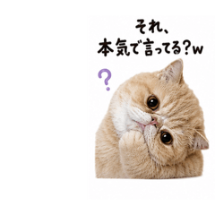 mugitan_20260515220504
