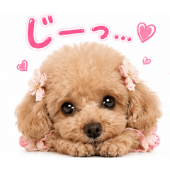 Mami_20260515220219