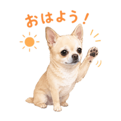 koichi_20260515231601
